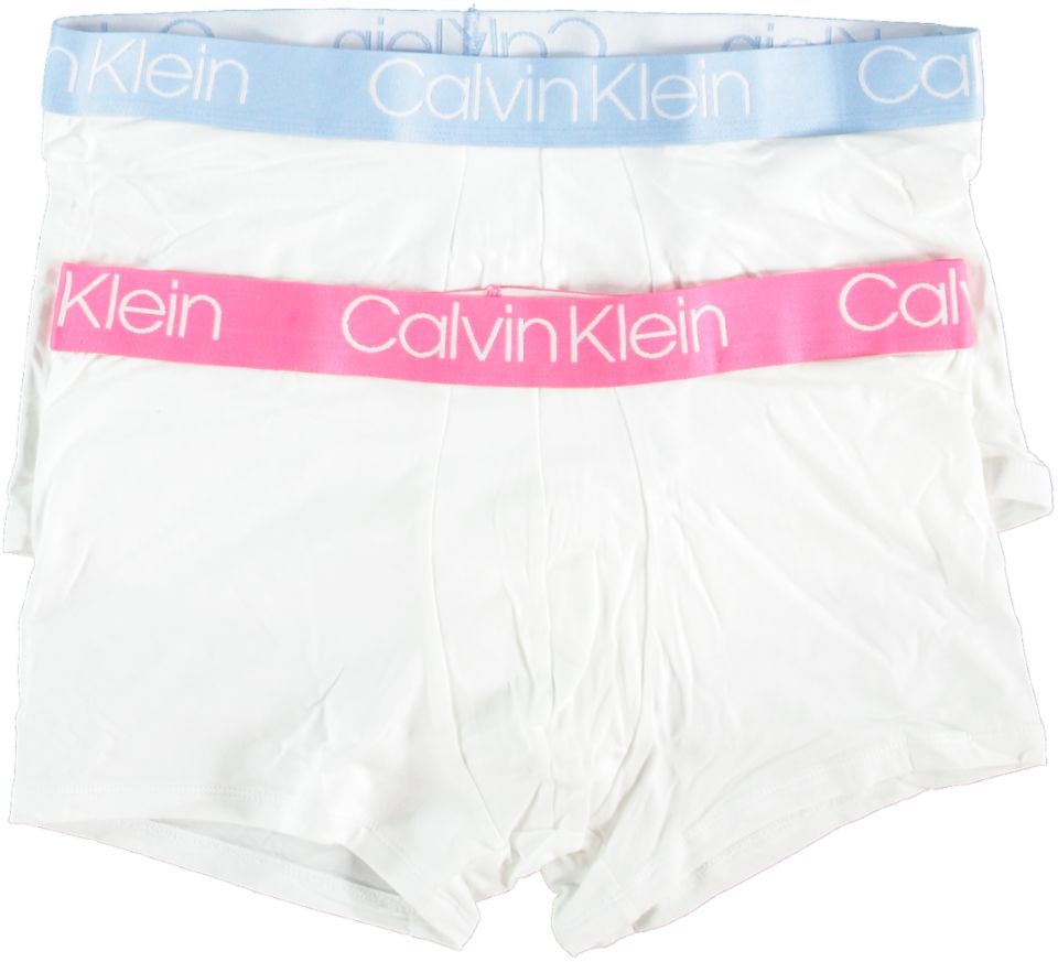 Metropolitan Maladroit Schandalig Herenkleding Accessoires Calvin Klein Underwear TRUNK 2PK - Bergmans  Fashion Outlet - Webshop | GRATIS VERZENDING!