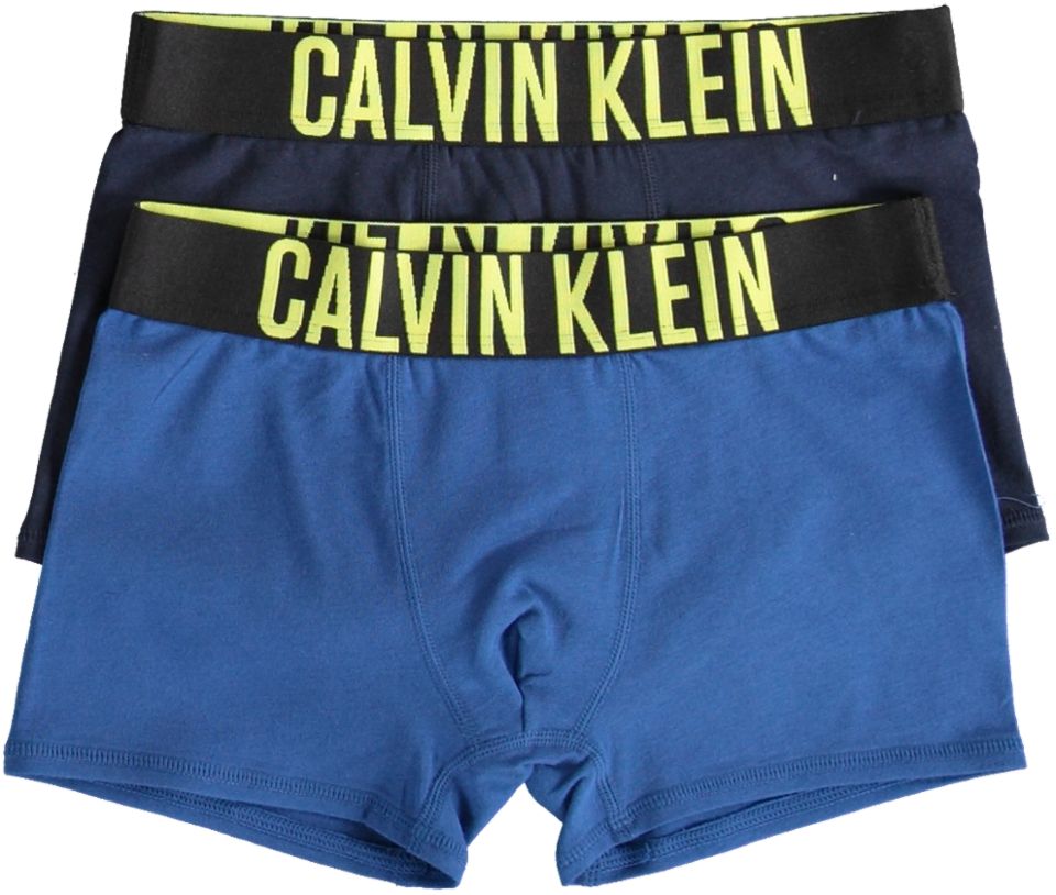 ziekenhuis burgemeester Stier Jongens Accessoires Calvin Klein Underwear 2PK TRUNKS - Bergmans Fashion  Outlet - Webshop | GRATIS VERZENDING!