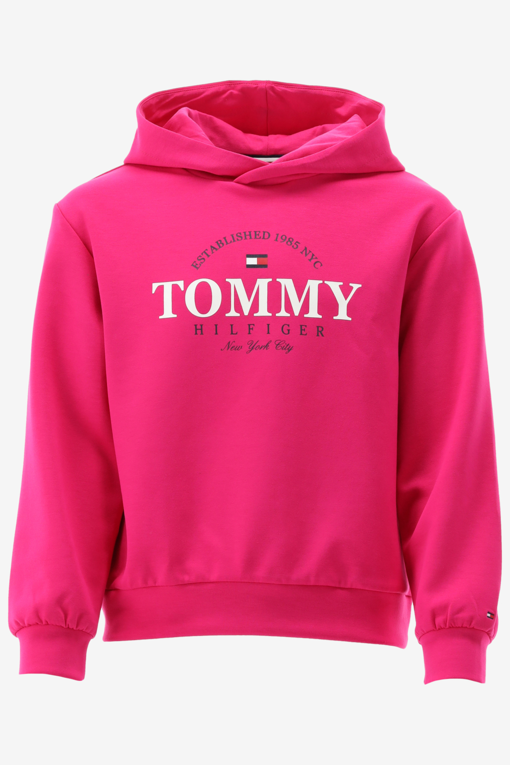 Tommy hilfiger sales hoodie meiden