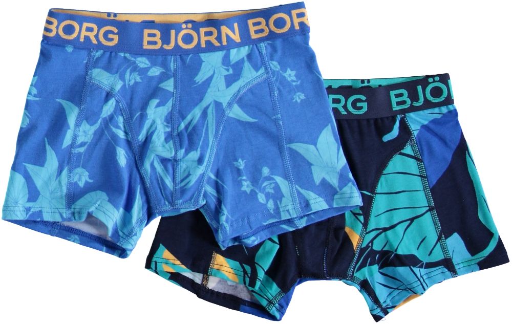 Bjorn Borg Underwear LEAF 2P
