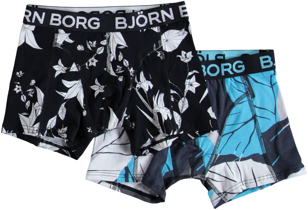 Bjorn Borg Underwear LEAF 2P