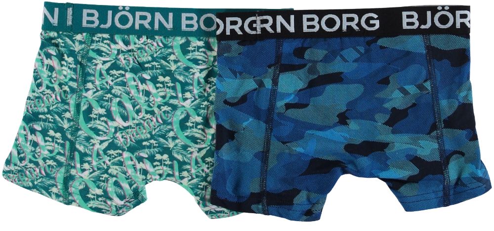 Bjorn Borg Underwear LA 2P