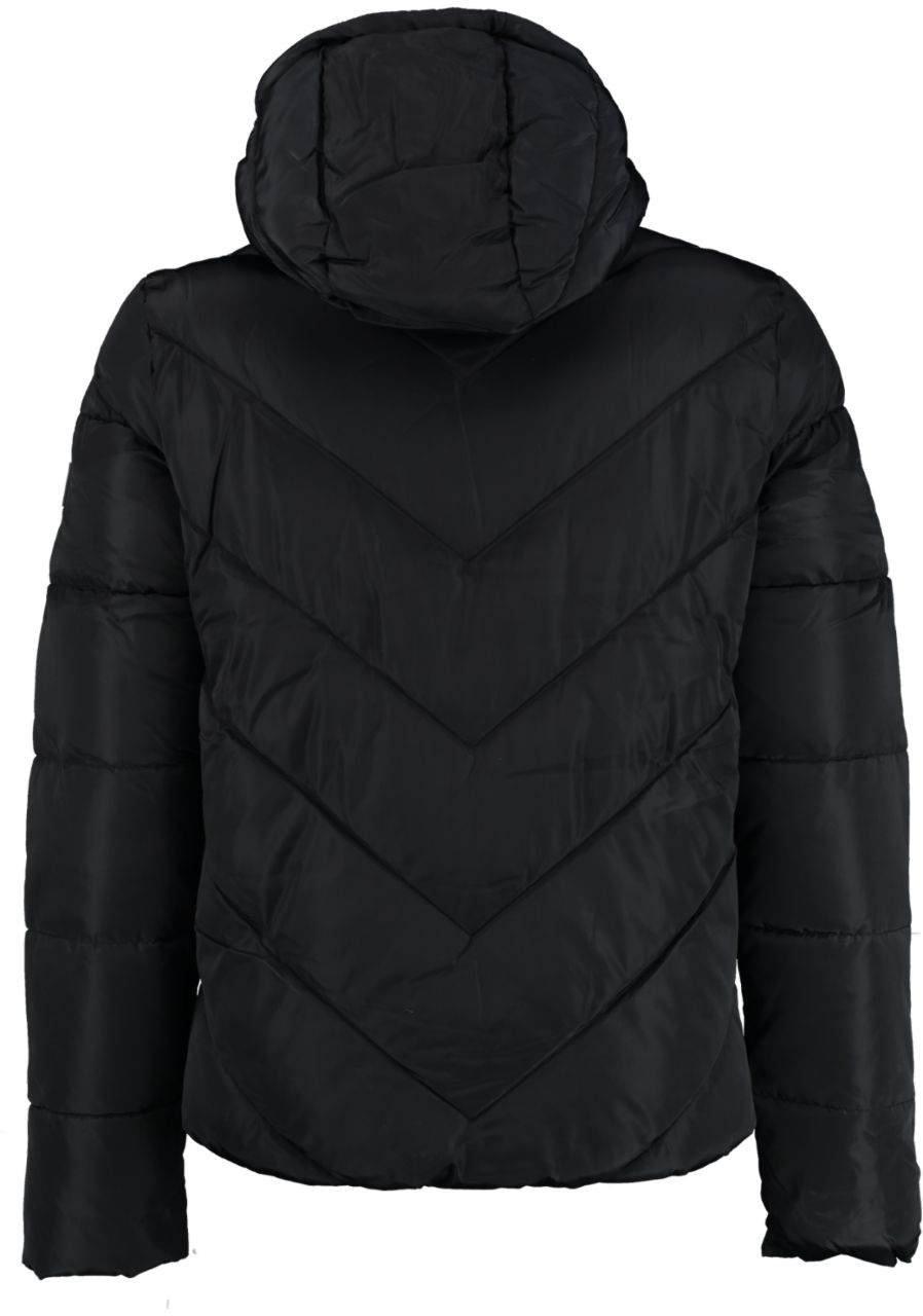 Superdry Jas XENON PADDED JACKET