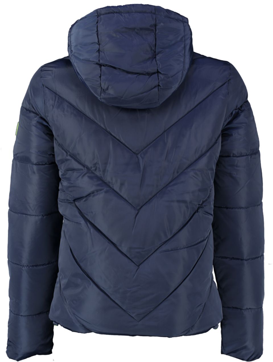Superdry xenon deals padded jacket