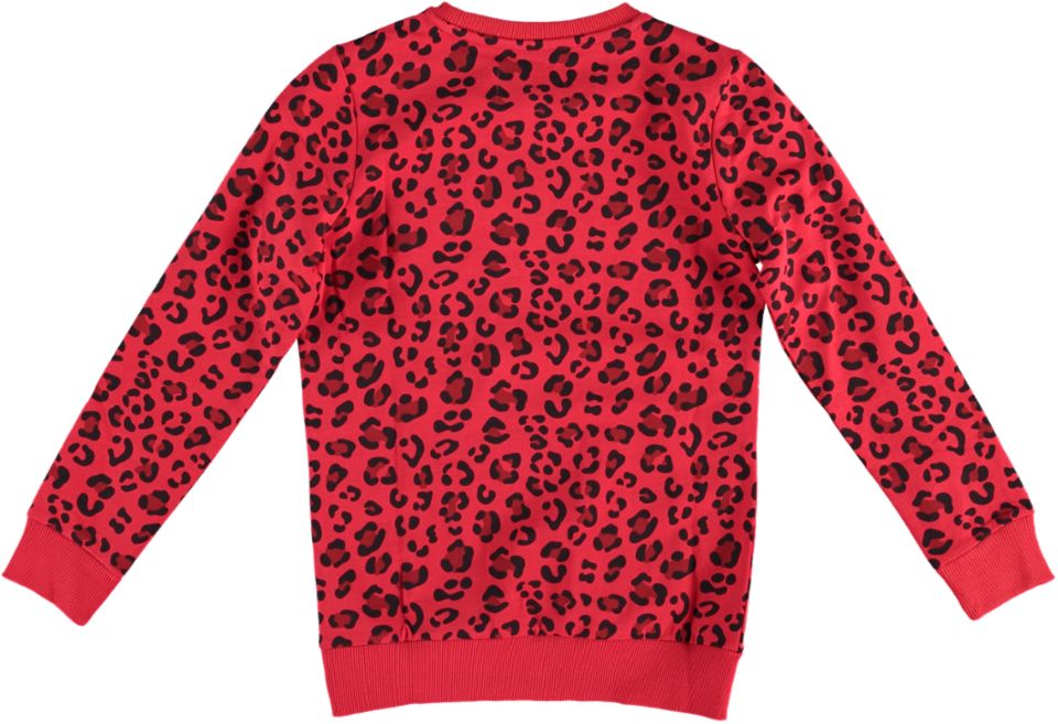 Cars Sweater RELINDE