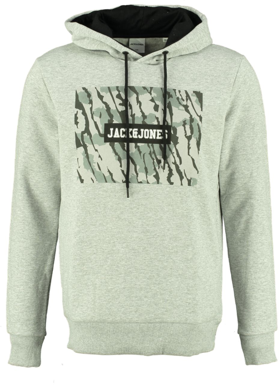 Jack&Jones Hoodie RAIMI