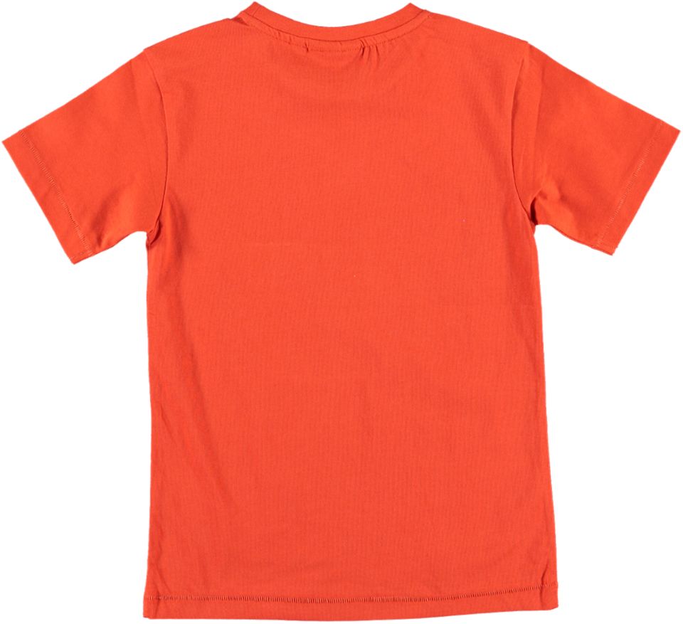 Someone T-shirt DINOSAUR