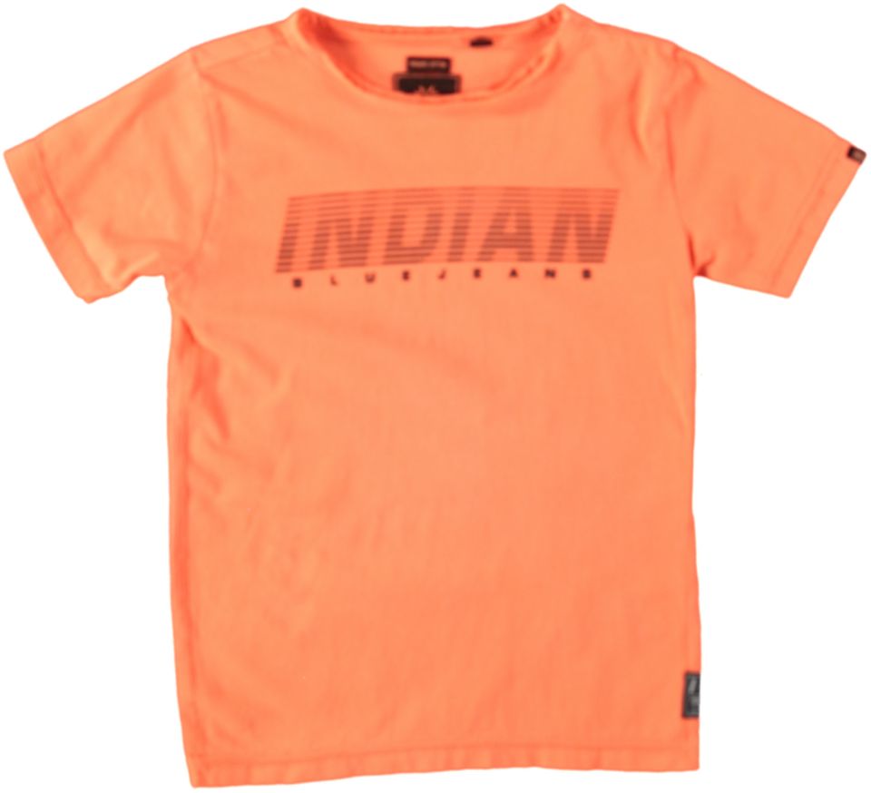 Indian Blue T-shirt BASIC INDIAN