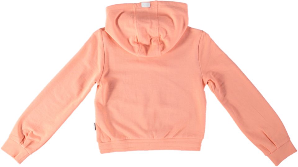 Retour Hoodie DEMI