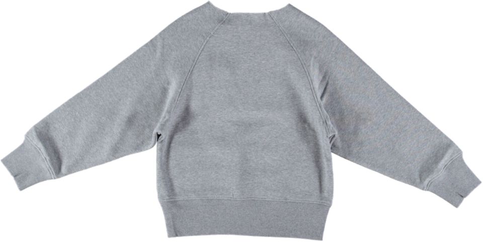 Tommy Hilfiger Sweater AMERICANA LOGO SWEA