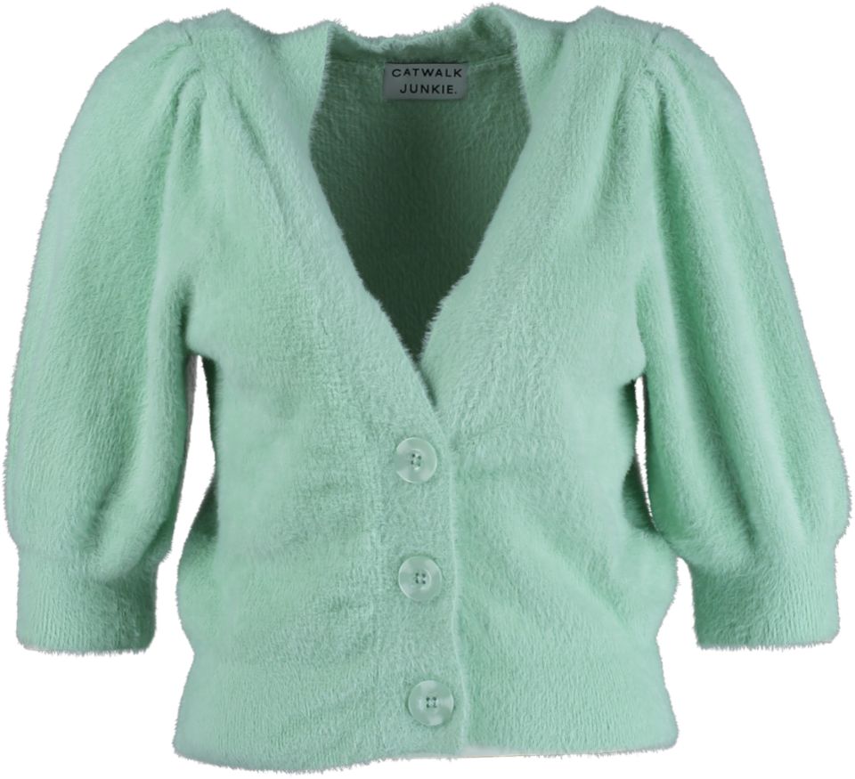 Catwalk Junkie Vest POLLY