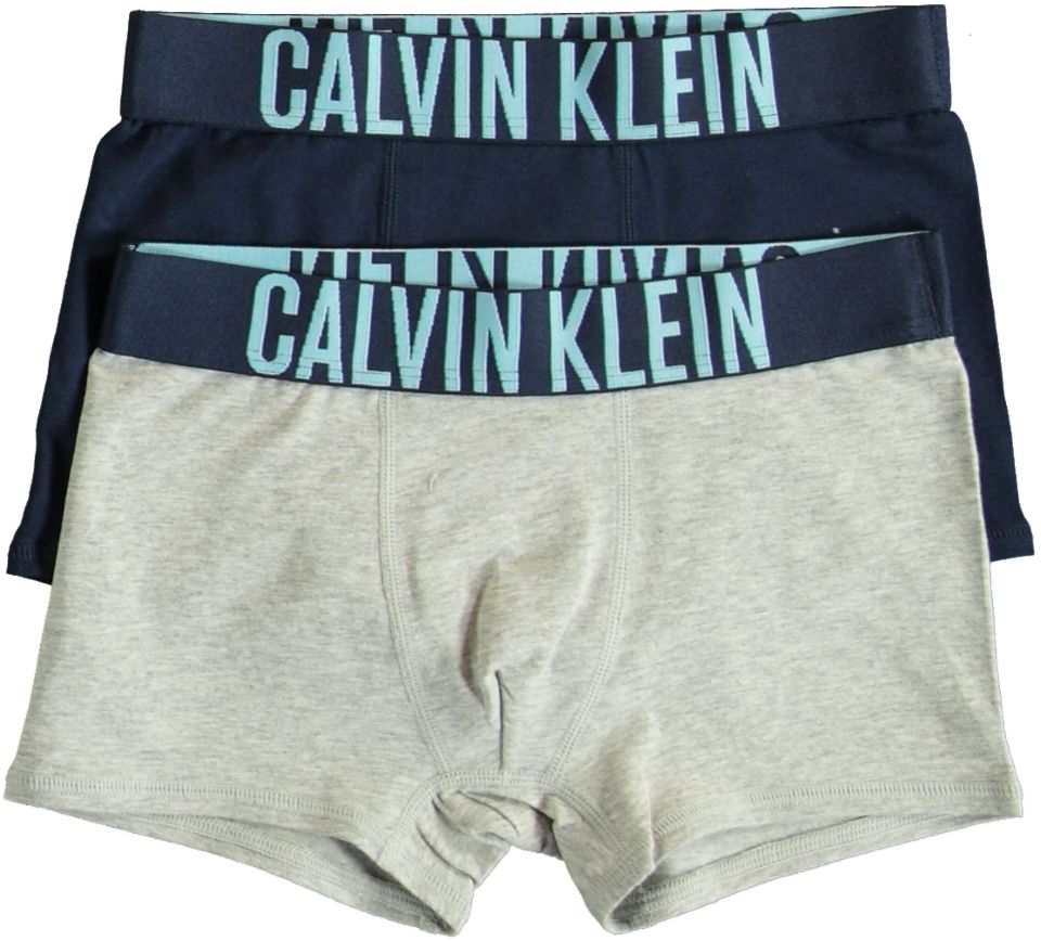 Calvin Klein Underwear 2PK TRUNKS