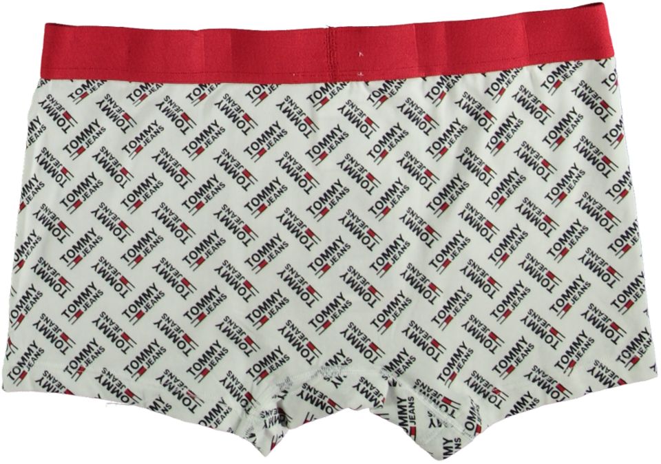 Tommy Hilfiger Underwear TRUNK PRINT