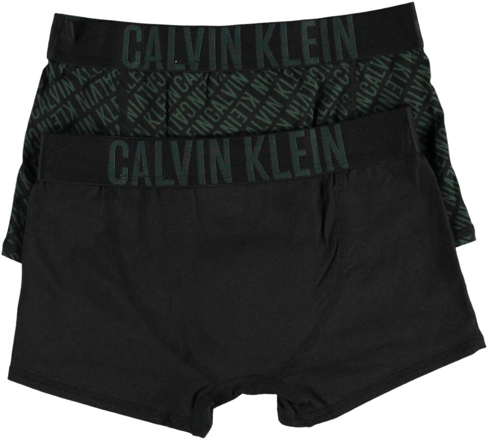 Calvin Klein Underwear 2PK TRUNKS