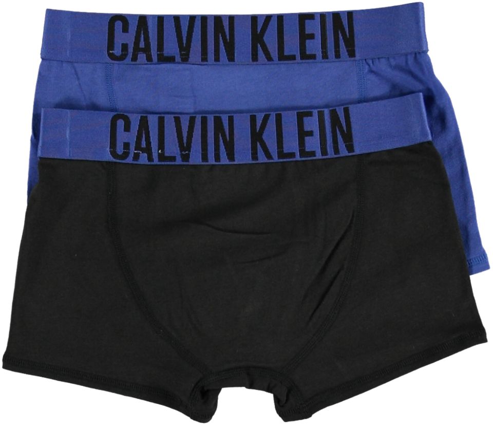 Calvin Klein Underwear 2PK TRUNKS