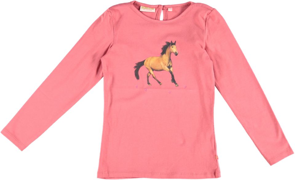 Someone Longsleeve DIAMOND