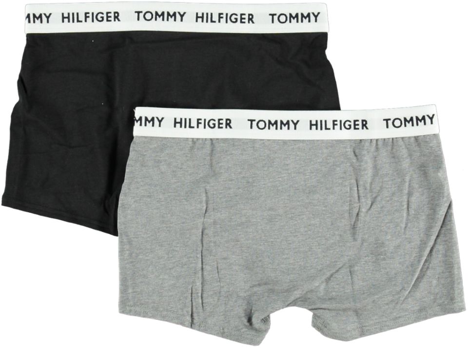Tommy Hilfiger Underwear 2P TRUNK