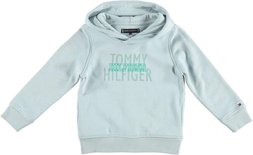 Tommy Hilfiger Hoodie HILFIGER OVER PRINT