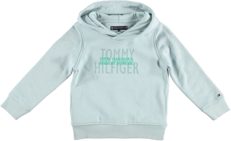 Tommy Hilfiger Hoodie HILFIGER OVER PRINT