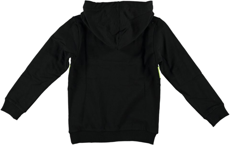 Cars Hoodie SEPPOS