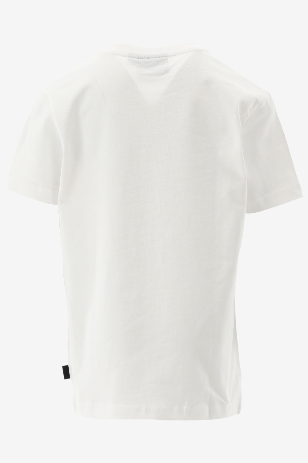 Cars T-shirt EDION