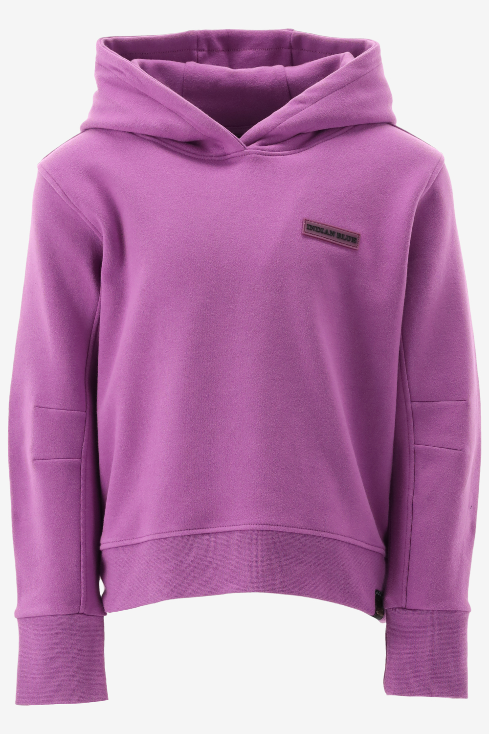 Indian Blue Hoodie 