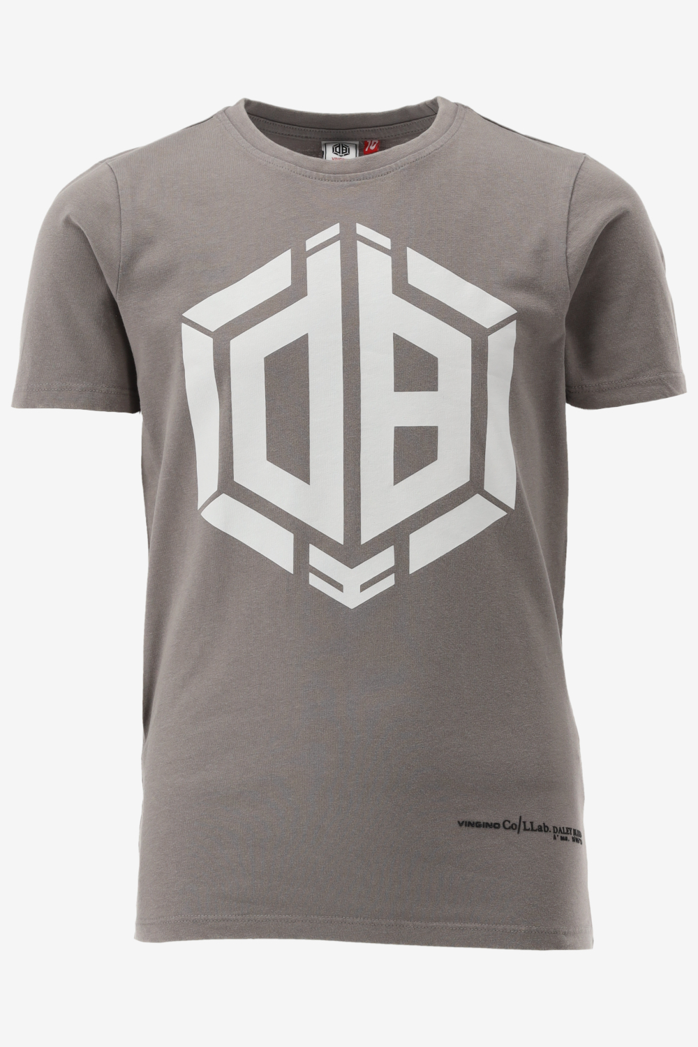 Vingino T-shirt HOUNDI