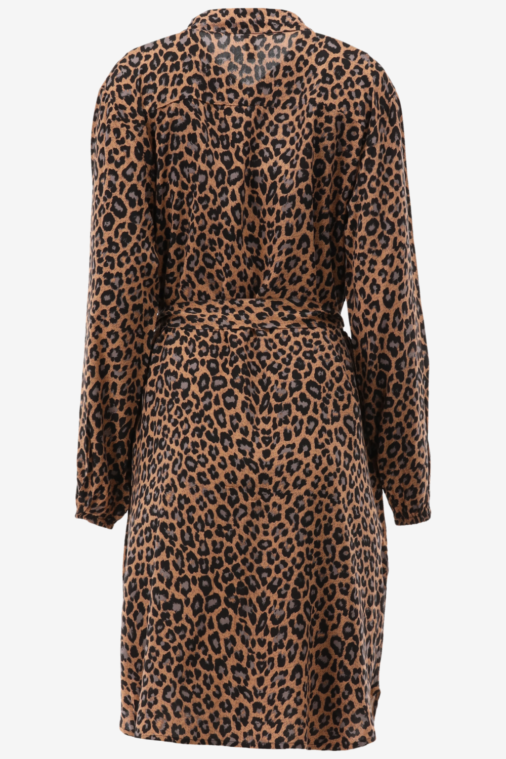 Only Carmakoma Jurk NOVA 