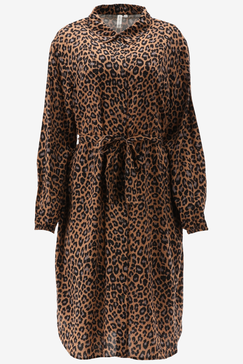 Only Carmakoma Jurk NOVA 