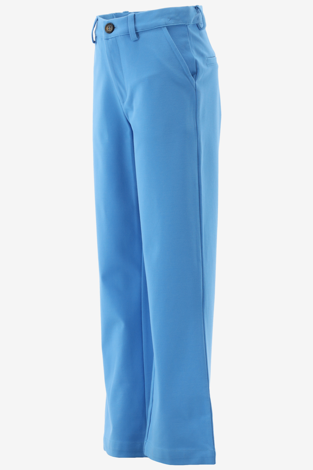 Indian Blue  Wide Pants Pantalon