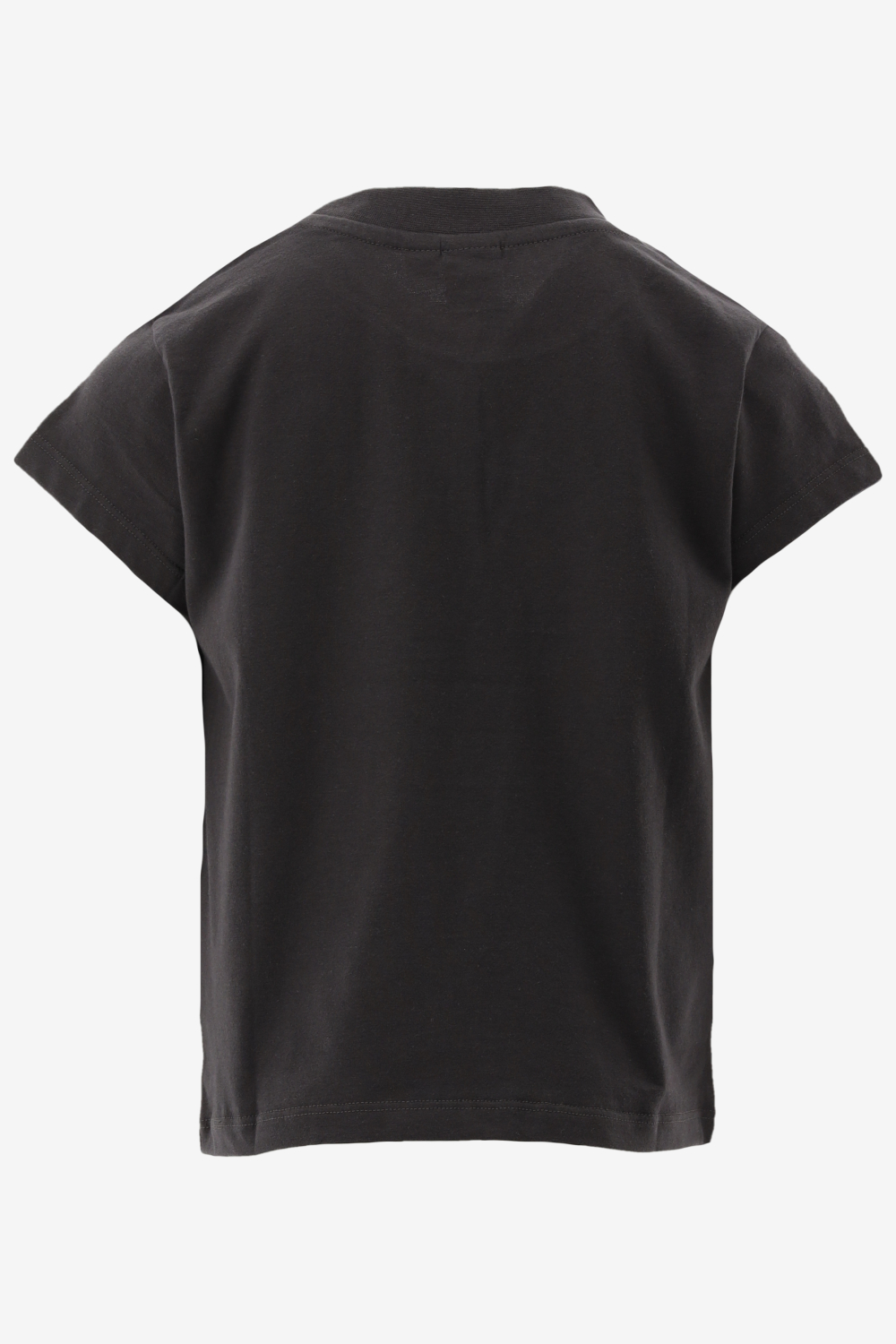 Indian Blue T-shirt T-Shirt Dreamer