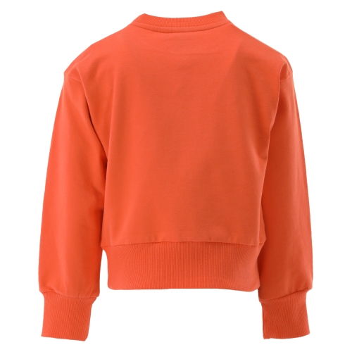 Indian Blue Sweater Sweater Wandering Heart
