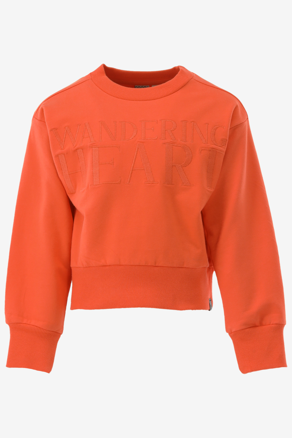 Indian Blue Sweater Sweater Wandering Heart