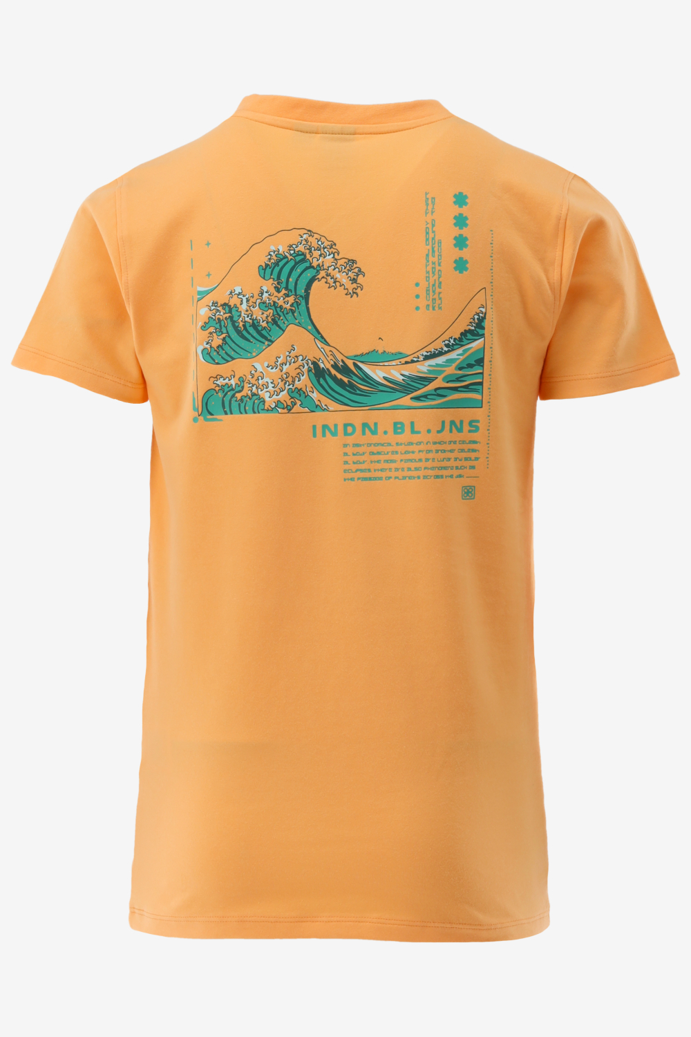 Indian Blue T-shirt T-Shirt V-neck Blue Sea