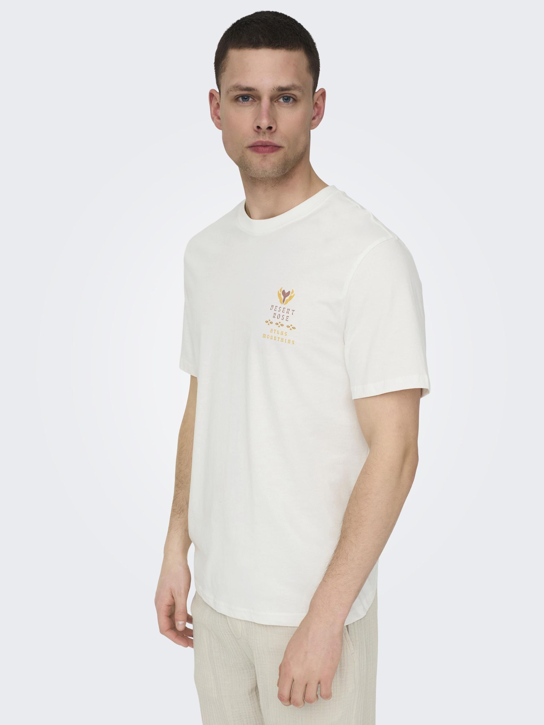 Only & Sons T-shirt MANUEL LIFE