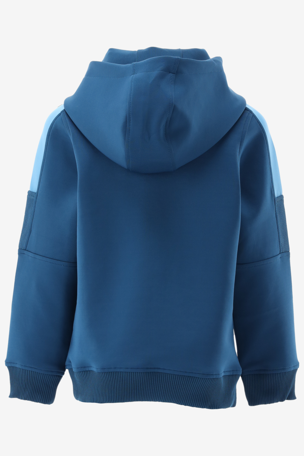 Malelions Hoodie Malelions Junior Sport Transfe