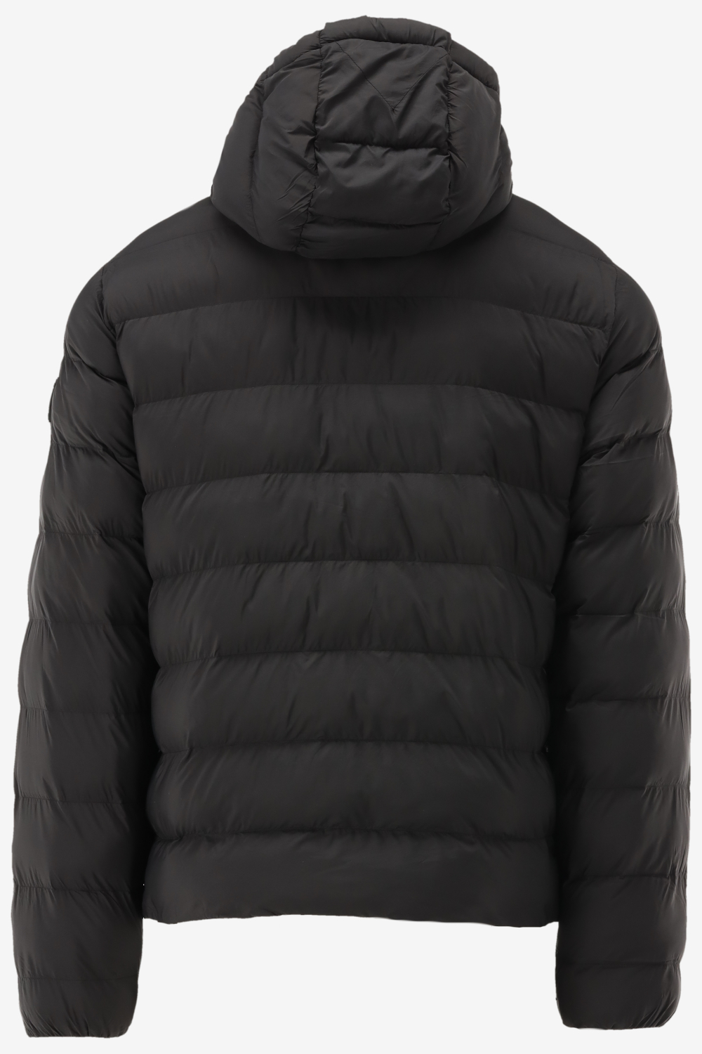 Tommy Hilfiger Jas 