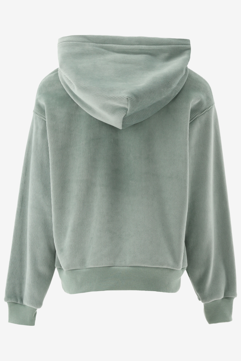 Calvin Klein Hoodie VELVET OTTOMAN FLE