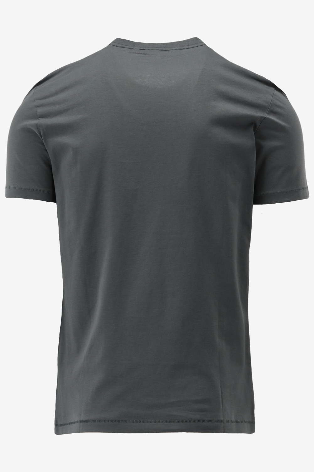 Calvin Klein T-shirt SEASONAL MONOLOGO TE, PSL