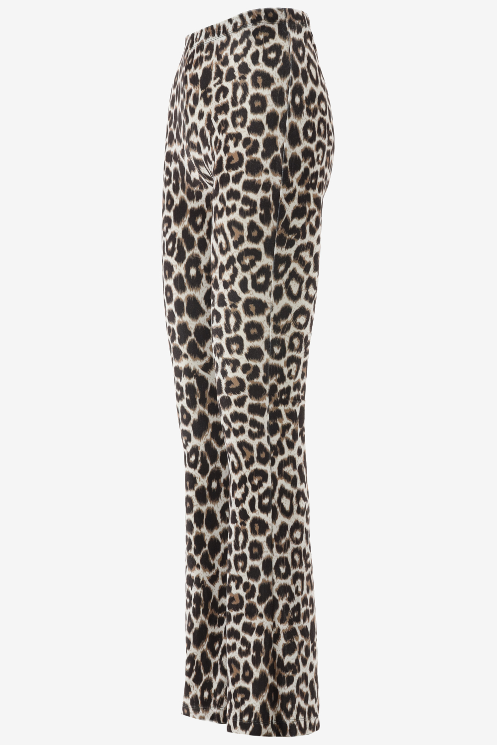 Catwalk Junkie Bootcut  