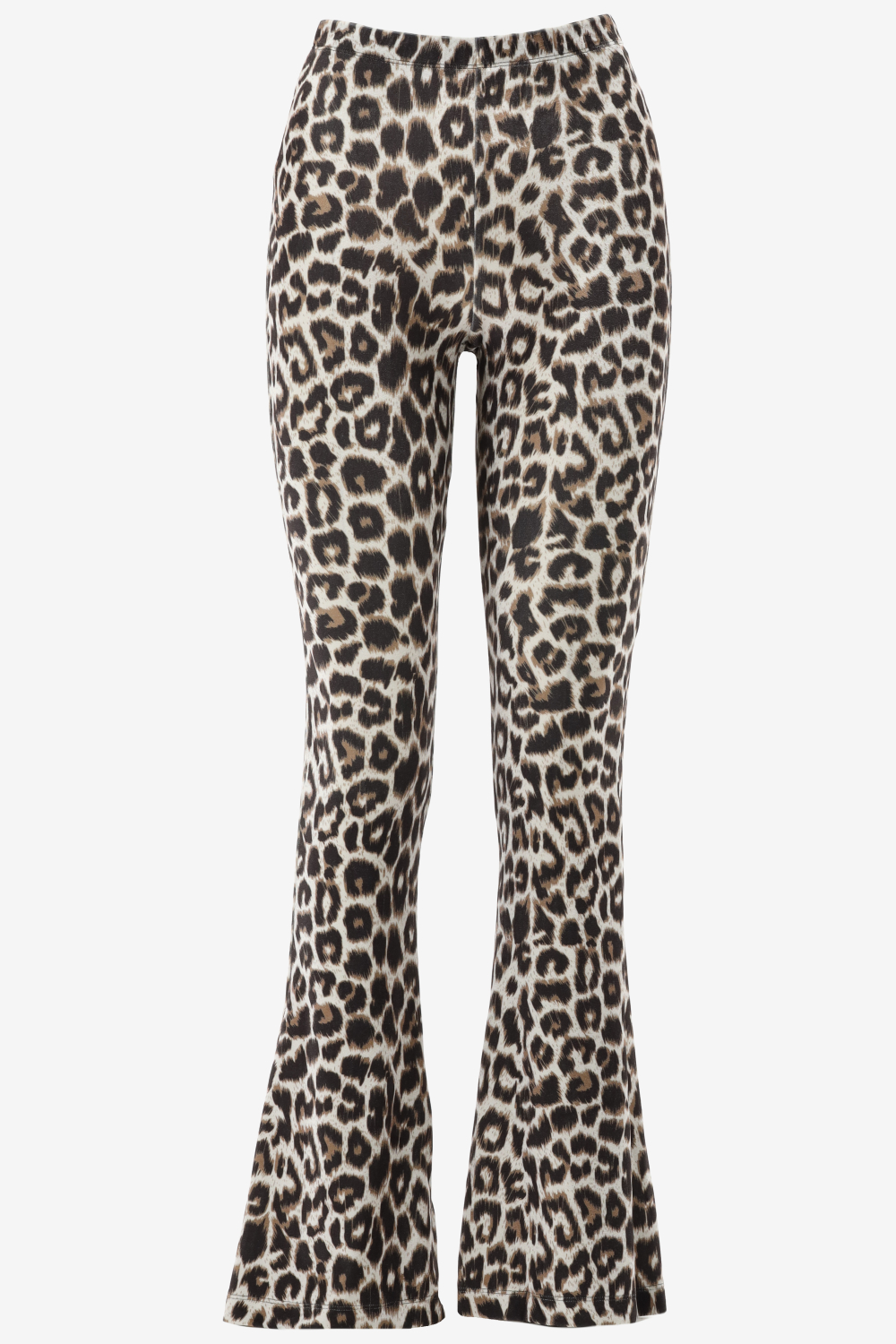 Catwalk Junkie Bootcut  