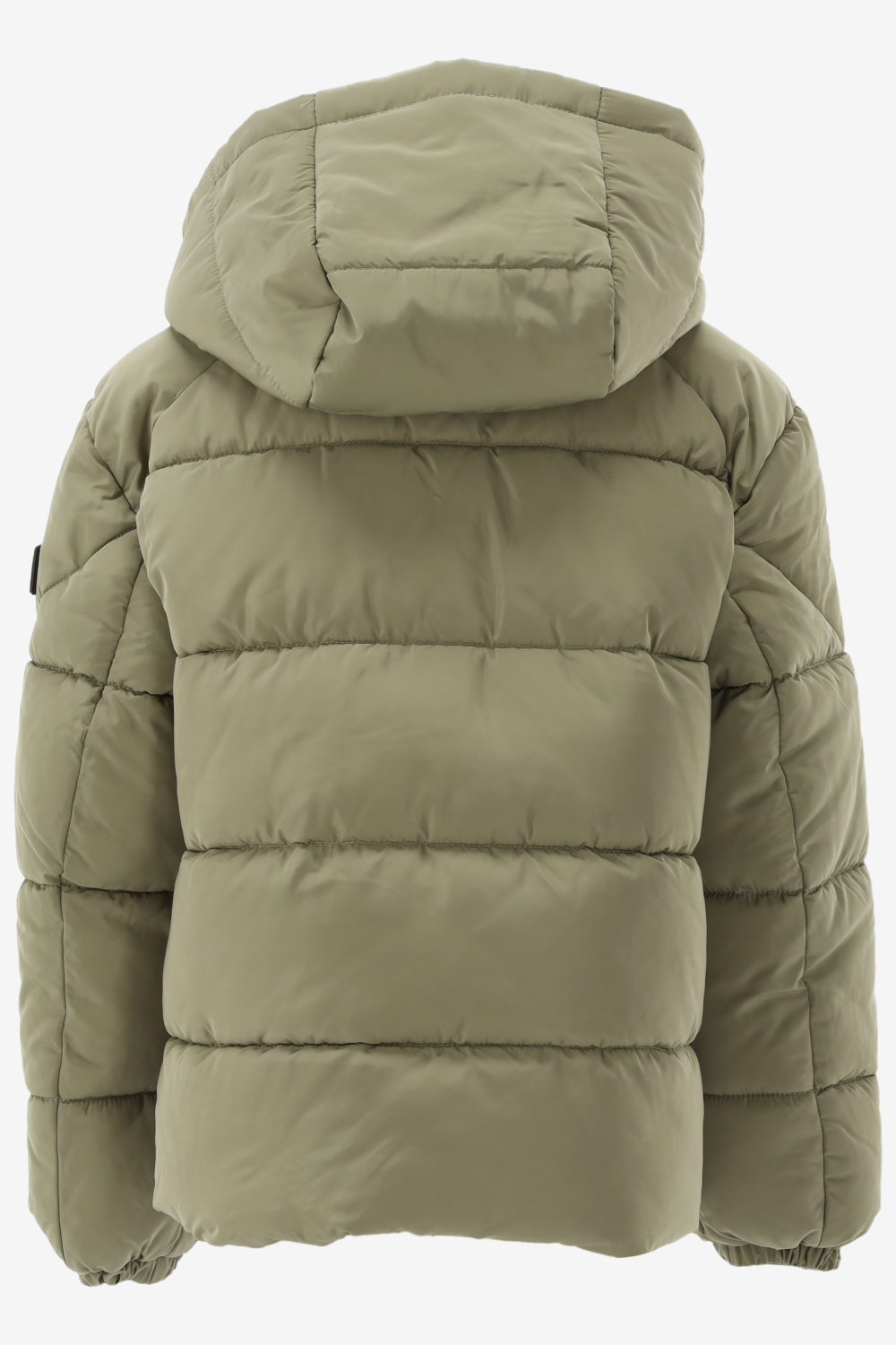 Malelions  DONN PUFFER