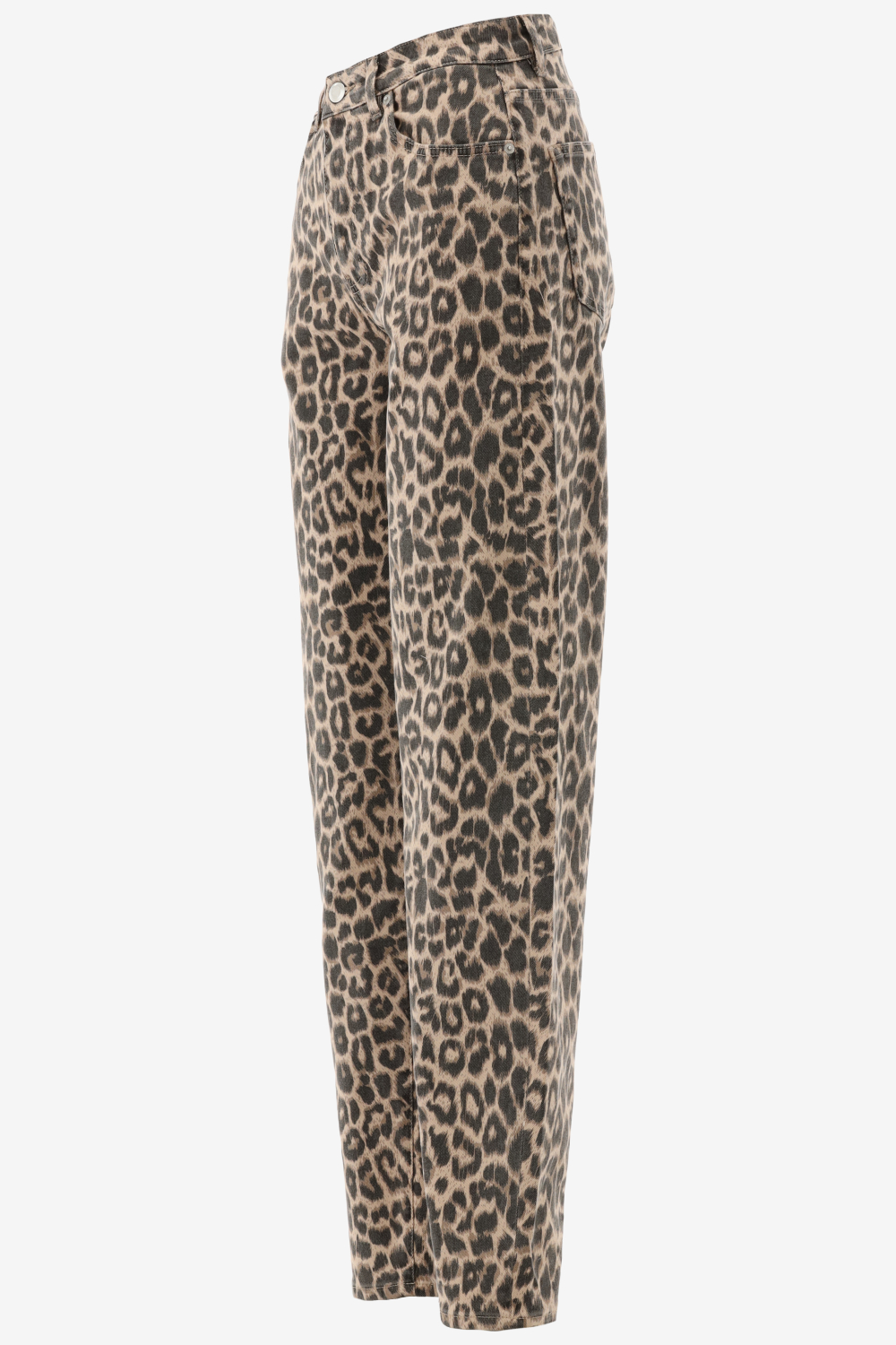 Catwalk Junkie Tapered Fit 