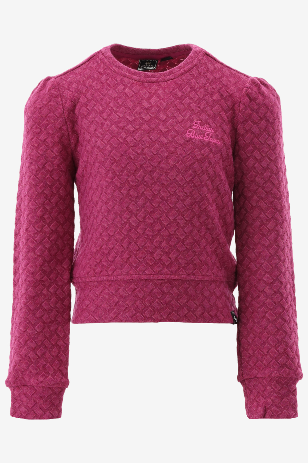 Indian Blue Sweater 