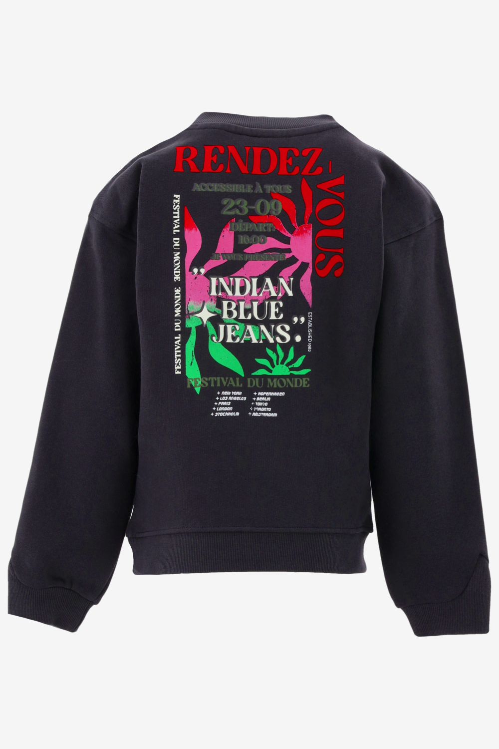 Indian Blue Sweater 