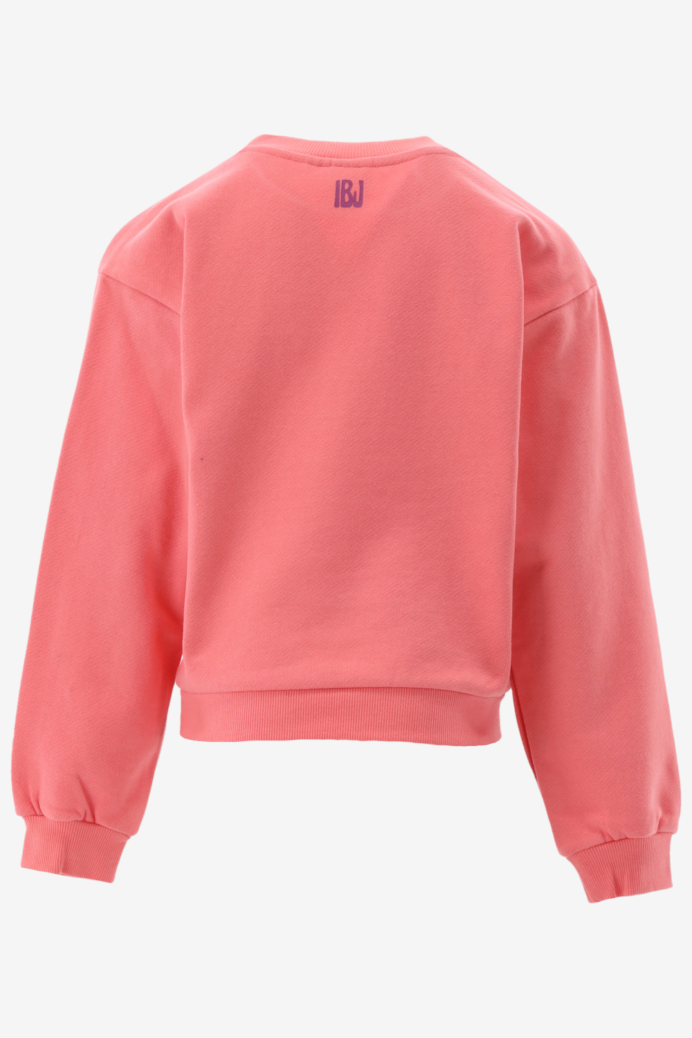 Indian Blue Sweater 