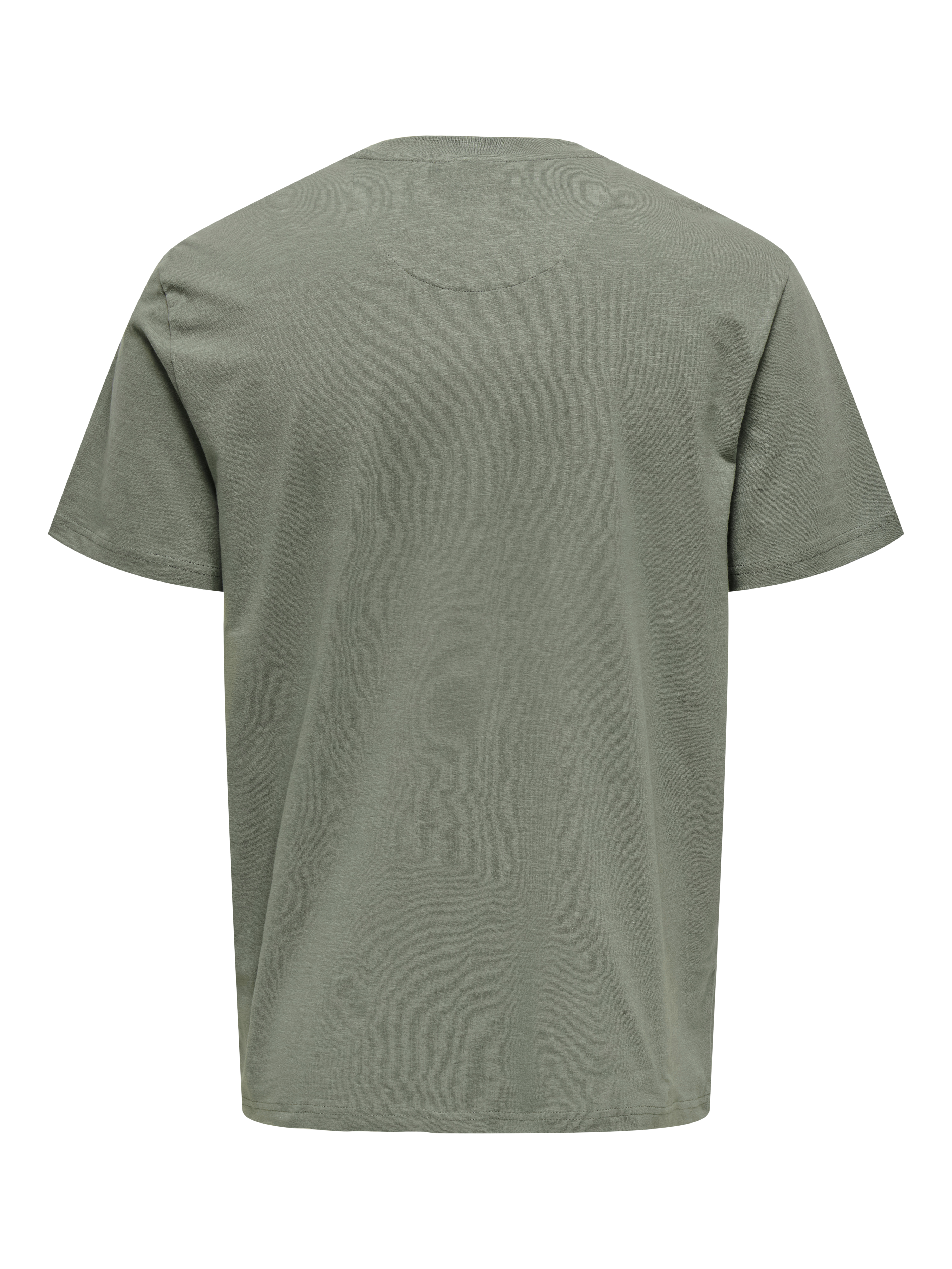 Only & Sons T-shirt PERRY LIFE