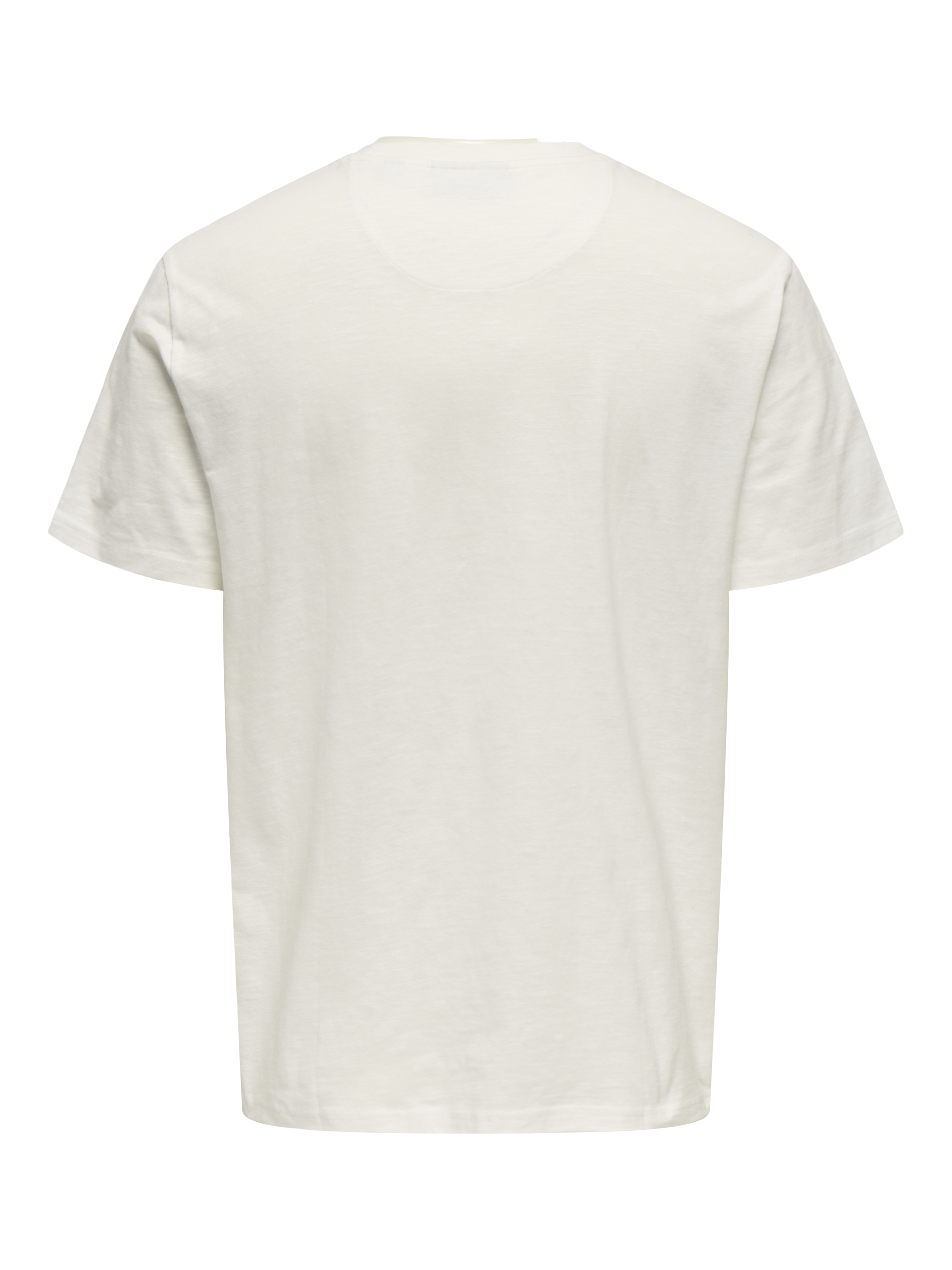 Only & Sons T-shirt PERRY LIFE