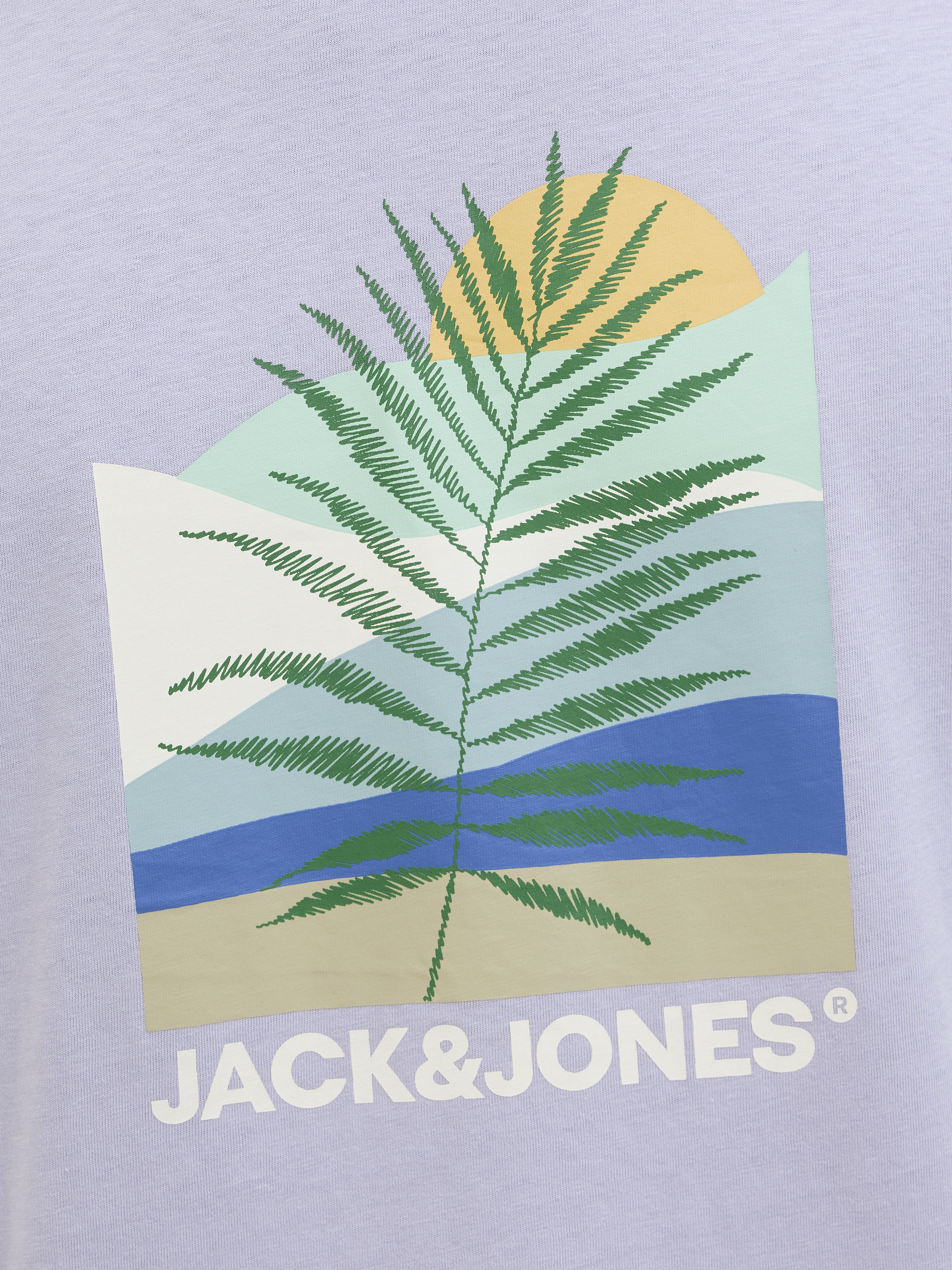 Jack&Jones T-shirt BARBADOS