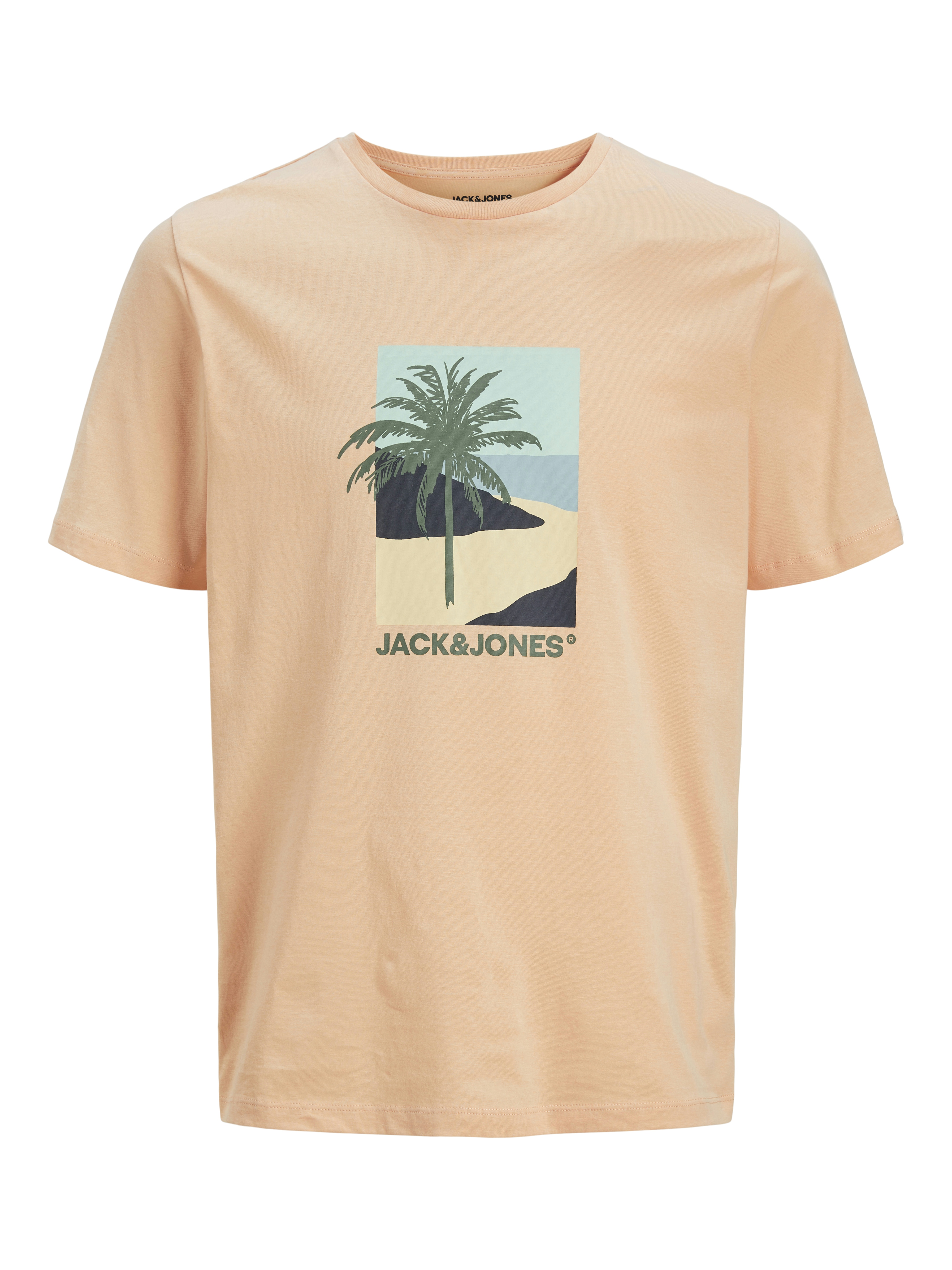 Jack&Jones T-shirt BARBADOS